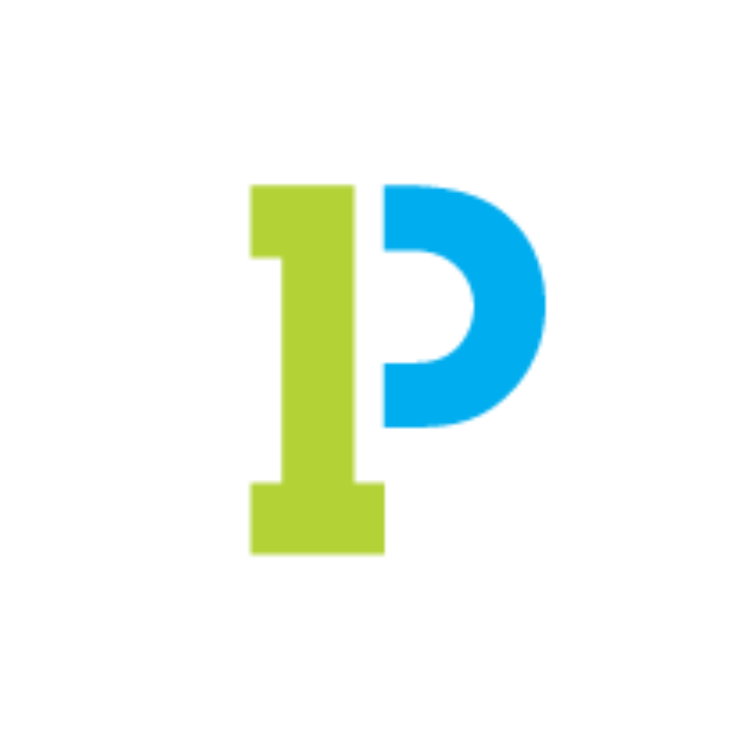 P1 Technologies Protech International, Inc.