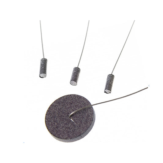 Disk & Pellet Ag/AgCl Electrode