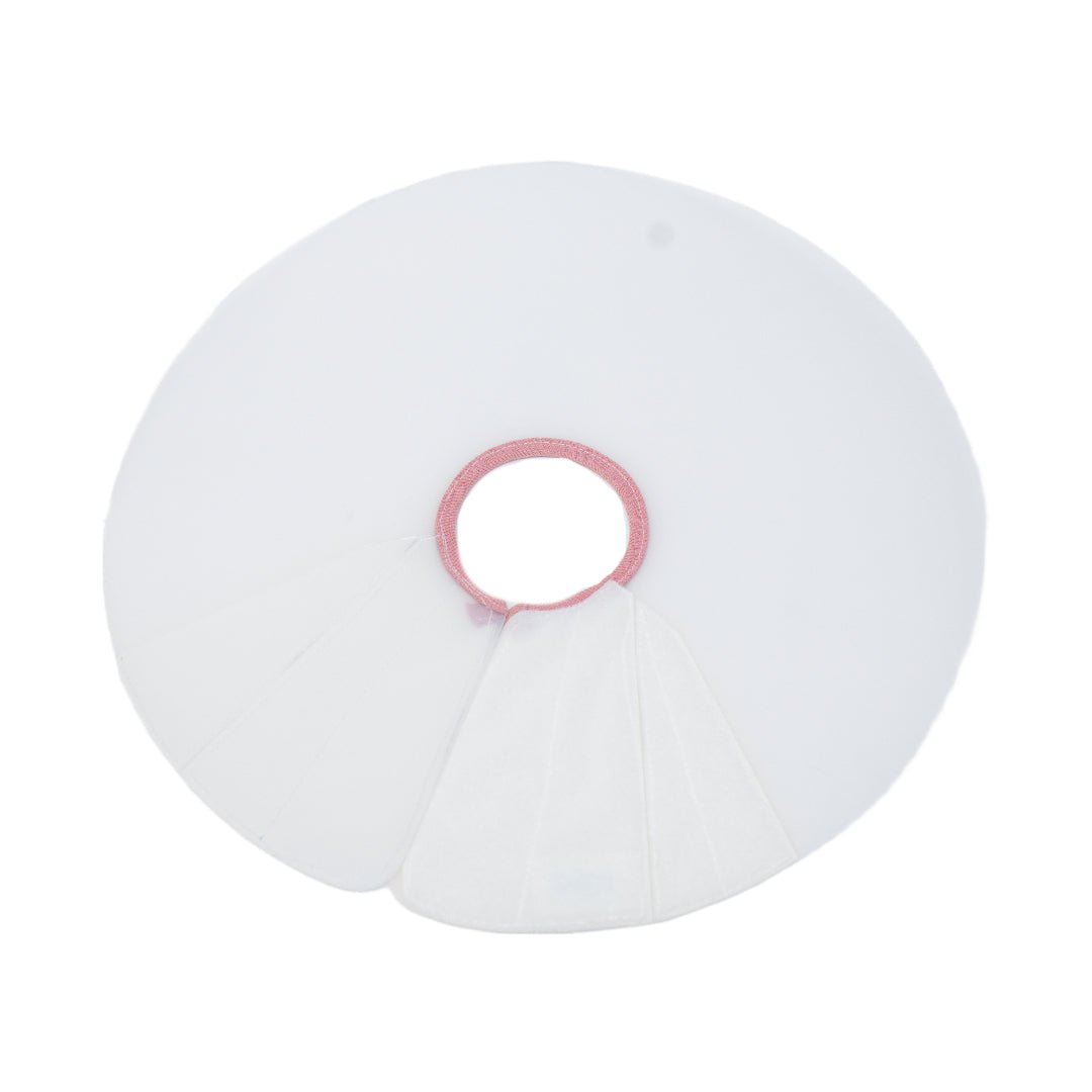 Mouse Elizabethan Collar
