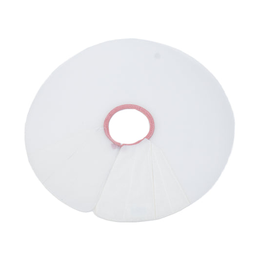 Mouse Elizabethan Collar