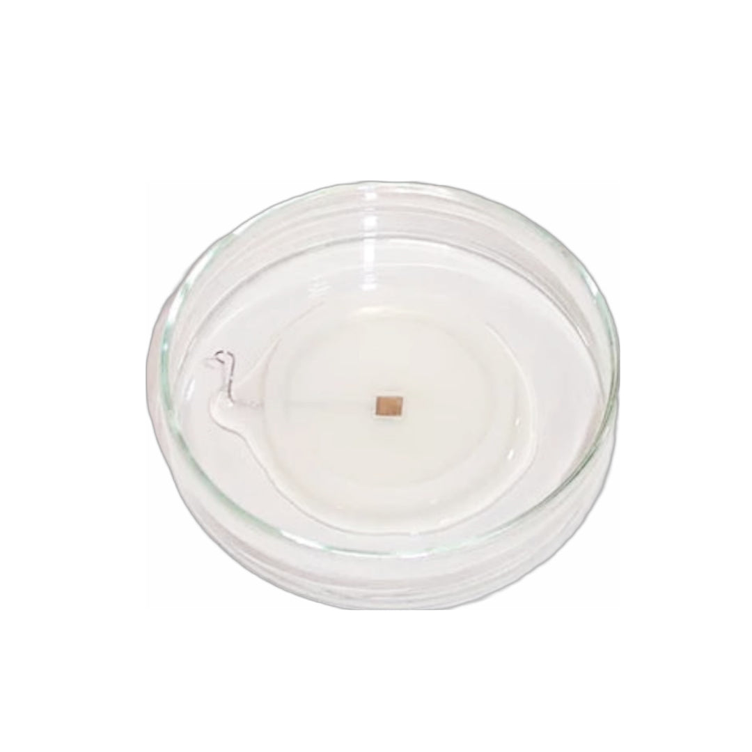 Square Platinum Plate Petridish Electrode (LF701P Series)