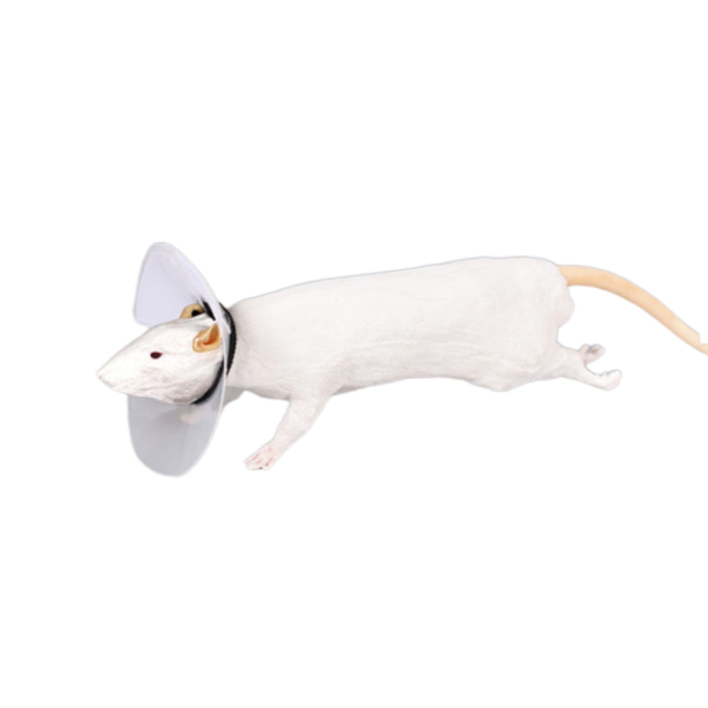 Mouse Elizabethan Collar