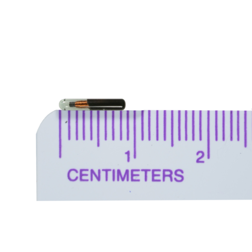 Temperature and Programmable Microchips 2.1mm x 13mm