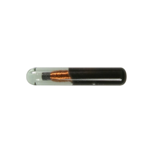 Temperature and Programmable Microchips 2.1mm x 13mm