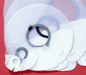 Rat Elizabethan collar