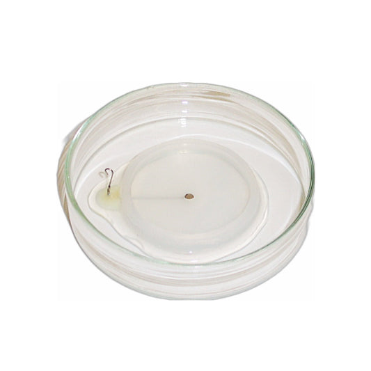 LF700PE Round Platinum Petridish Electrode