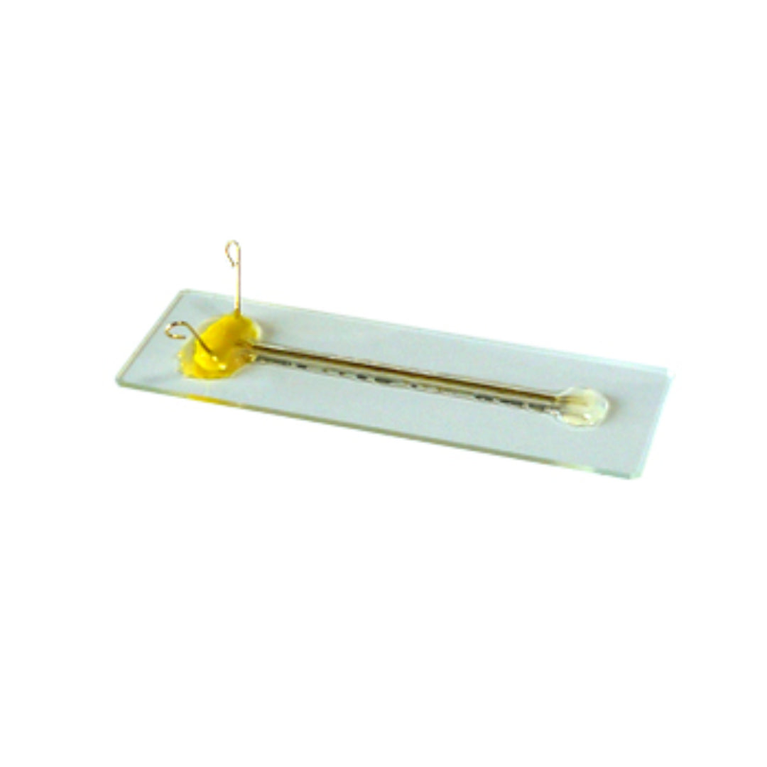 Gold Wire Electrodes On Petridish(LF500G)