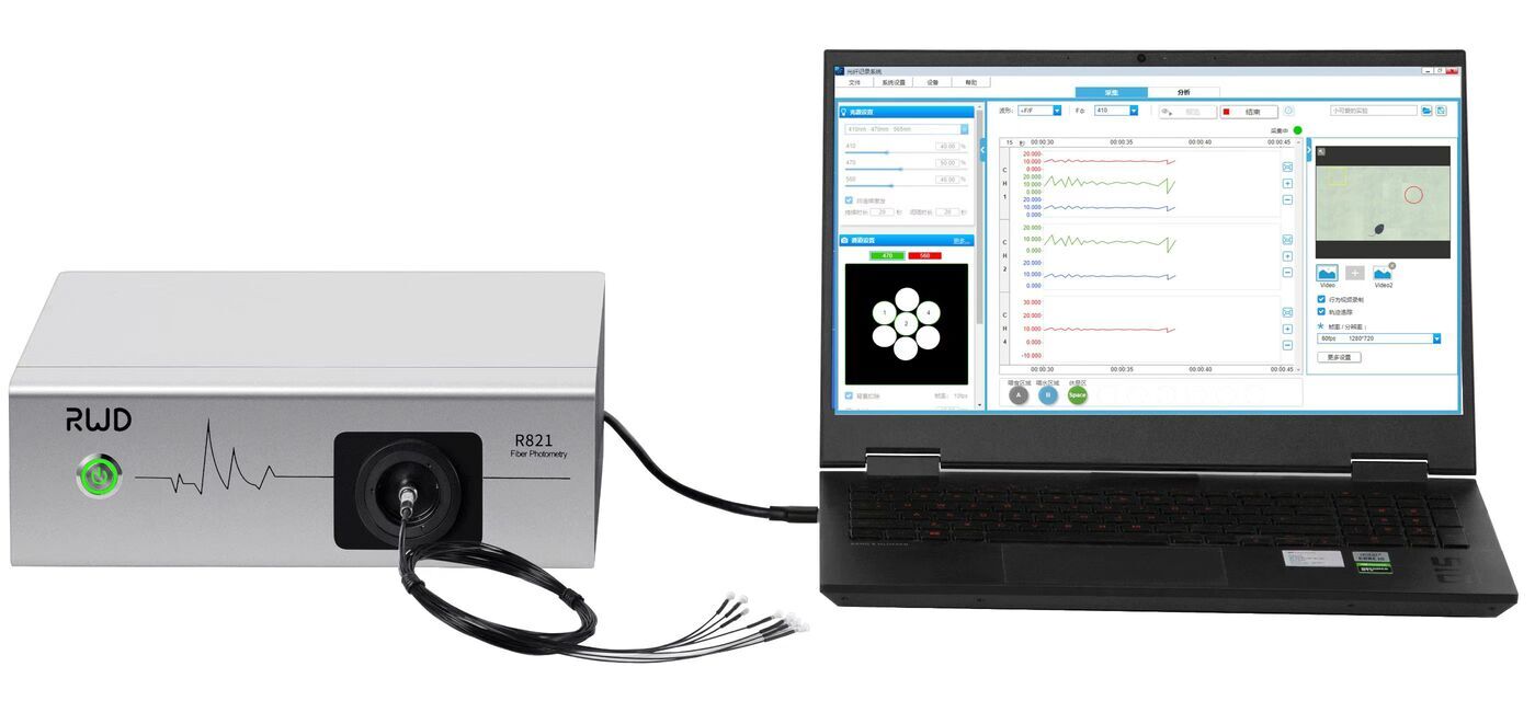 R821 Tricolor Multichannel Fiber Photometry System connected to a laptop showing data