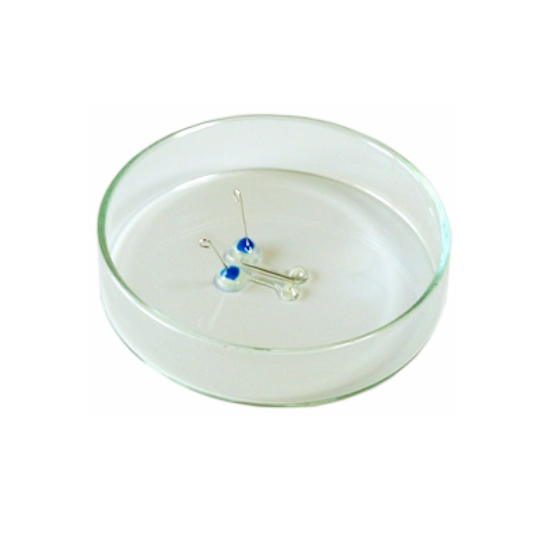 Platinum Wire Electrodes On Petridish(LF5000)